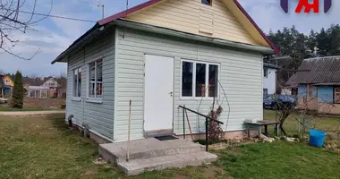 House in Zodzinski sielski Saviet, Belarus