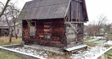 Haus in Telminski sielski Saviet, Belarus