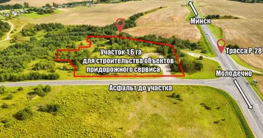 Plot of land in Lasanski sielski Saviet, Belarus