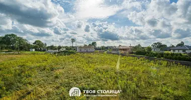 4 room house in Azierski sielski Saviet, Belarus