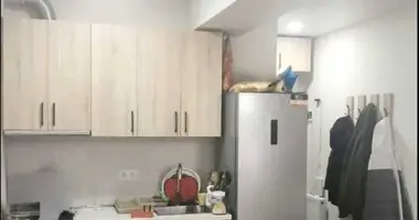 1 bedroom apartment in Tbilisi, Georgia
