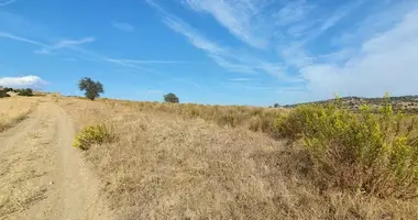 Terrain dans Nikiti, Grèce