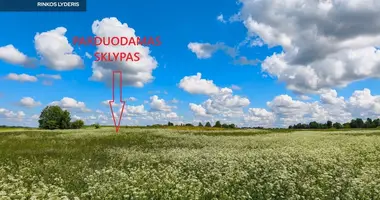 Grundstück in Uljanava, Litauen