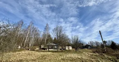 Haus in Zabalocki sielski Saviet, Belarus