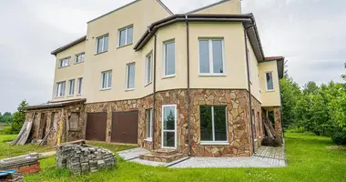 House in Pryliepy, Belarus