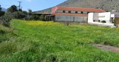Działka w Municipality of Agios Nikolaos, Grecja