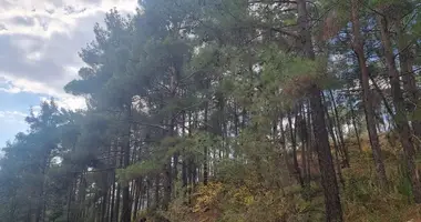 Apartment in Pano Platres, Cyprus