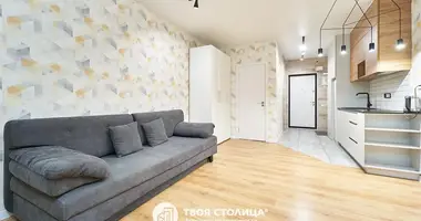 1 bedroom apartment in Minsk, Belarus