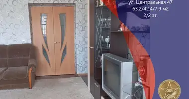3 room apartment in Usiaza, Belarus