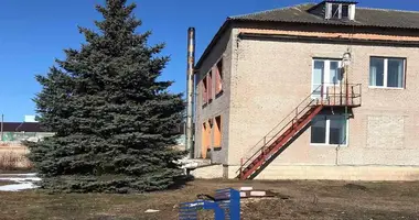 Nieruchomości komercyjne 3 487 m² w Stołpce, Białoruś