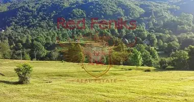 Commercial property in Montenegro