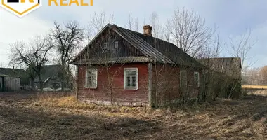 House in Buchovicki sielski Saviet, Belarus