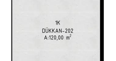 Mieszkanie w Aksu, Turcja