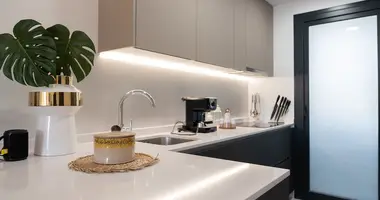 3 bedroom apartment in Benidorm, Spain