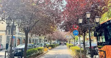 Propriété commerciale 244 m² dans Tirana, Albanie