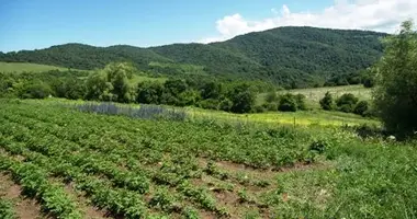 Участок земли в Булачаури, Грузия