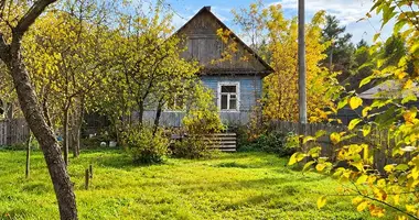 House in Viliejka, Belarus
