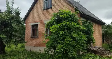House in Nieharelski sielski Saviet, Belarus