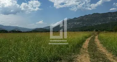 Parcela en Danilovgrad, Montenegro