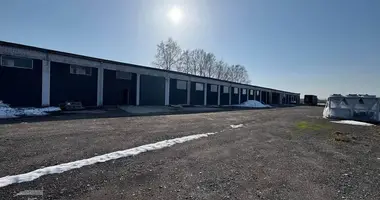 Warehouse 2 378 m² in Sluck, Belarus