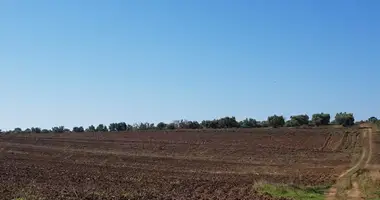 Участок земли в Kassandra Municipality, Греция