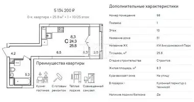 Apartment in Ankudinovka, Russia