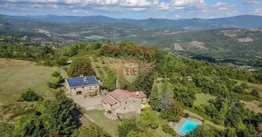 Propriété commerciale 507 m² dans Caprese Michelangelo, Italie