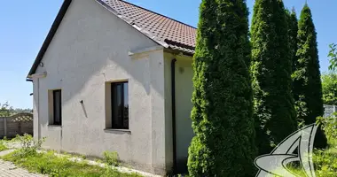Dom w Zabinkauski sielski Saviet, Białoruś