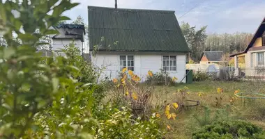Haus in Hozski sielski Saviet, Belarus