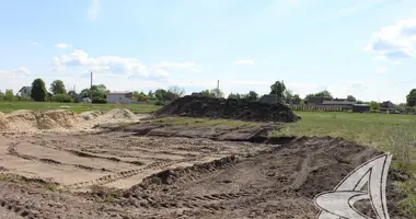 Участок земли в Ракитницкий сельский Совет, Беларусь