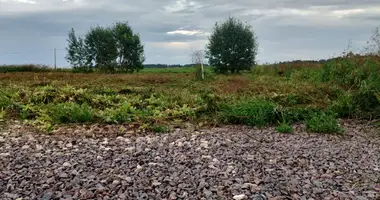 Plot of land in Zhabino, Russia
