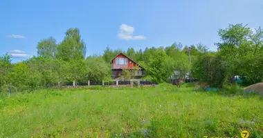 Terrain dans Lasanski sielski Saviet, Bélarus