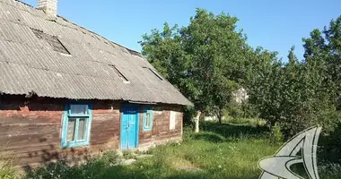 Plot of land in Kamyanyets, Belarus