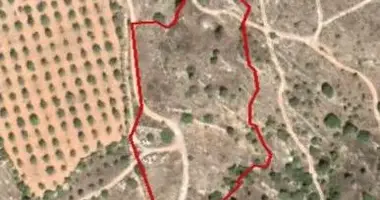 Plot of land in Paphos Municipality, Cyprus