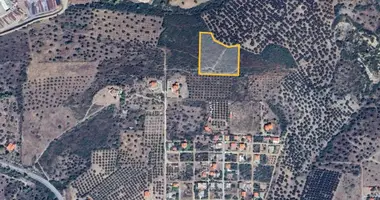 Plot of land in Polygyros Municipality, Greece
