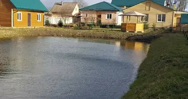 Dom wolnostojący w Chidrynski sielski Saviet, Białoruś