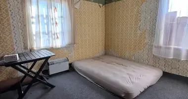 House in Kedainiai, Lithuania