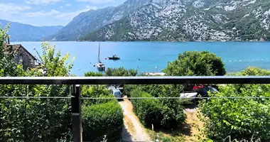 Wohnung 1 Schlafzimmer in Kotor, Montenegro