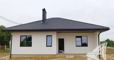 Dom w Telminski sielski Saviet, Białoruś