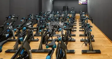 Propriété commerciale 1 079 m² dans Helechosa de los Montes, Espagne