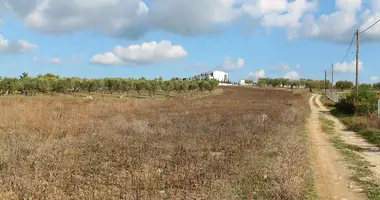 Terrain dans Kalandra, Grèce