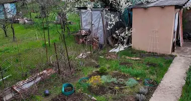 2 room house in Yehorivka, Ukraine