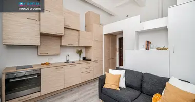 1 room apartment in Vilnius, Lithuania