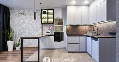 2 bedroom apartment in Minsk, Belarus