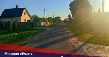 Дом в Озерицко-Слободской сельский Совет, Беларусь