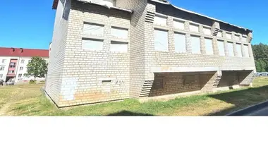 Коммерческое помещение 589 м² в Нарочь, Беларусь