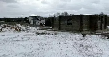 Plot of landin Chervyen District, Belarus