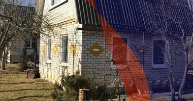 House in Dubrauski sielski Saviet, Belarus