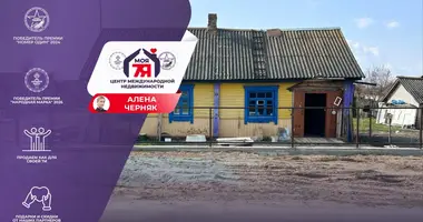 House in Starobin, Belarus