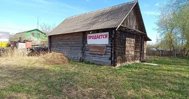 Maison dans Borissov, Bélarus